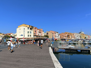 Enlèvement arbre urgence La Ciotat
